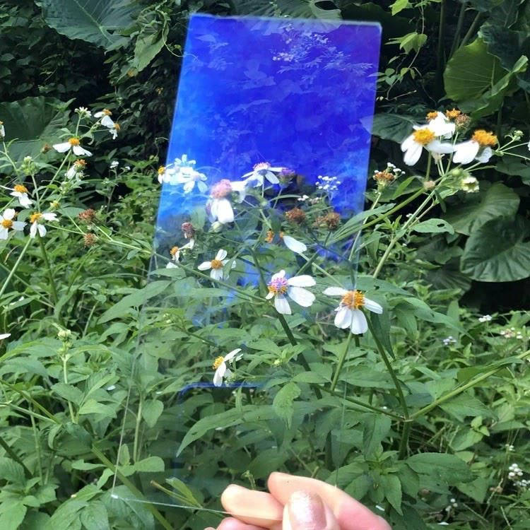 Ar Reflection Free Glass